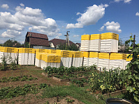 Газобетон КОТТЕДЖ D500 В2.5 625х200х250